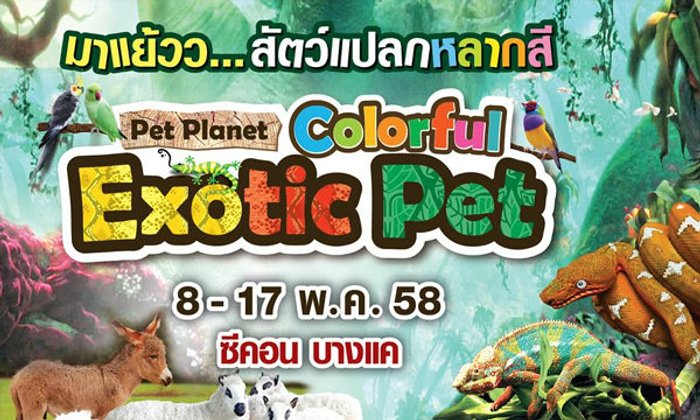 งาน "Pet Planet: Colorful Exotic Pet"