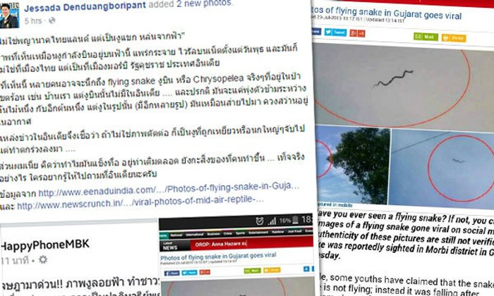ชาวเน็ตสงสัย? สิ่งคล้ายงู..ลอยกลางอากาศ อ.เจษฎา โร่ตอบ