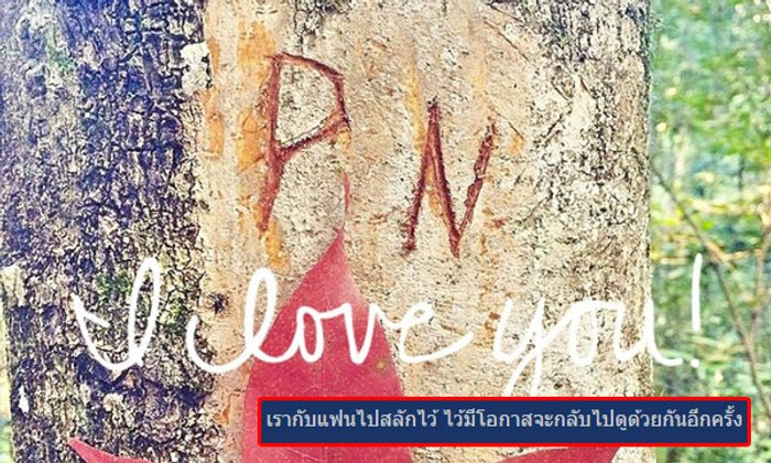 จวกยับ คู่รักตั้งกระทู้ท่องเที่ยว โชว์กรีดต้นไม้ฝากรัก