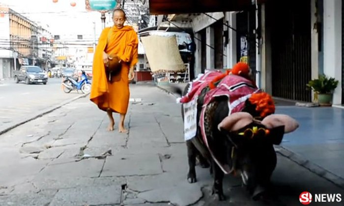 ฮือฮา พระแจกแม่หมูป่าแถมเงินให้ 1 แสน แต่มีเงื่อนไข