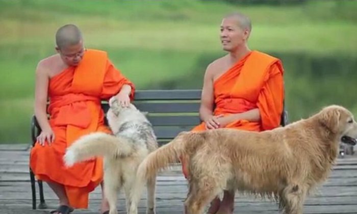 พระวู้ดดี้ กับชีวิต 1 เดือนใต้ร่มกาสาวพัสตร์ บวชเหมือนได้เกิดใหม่