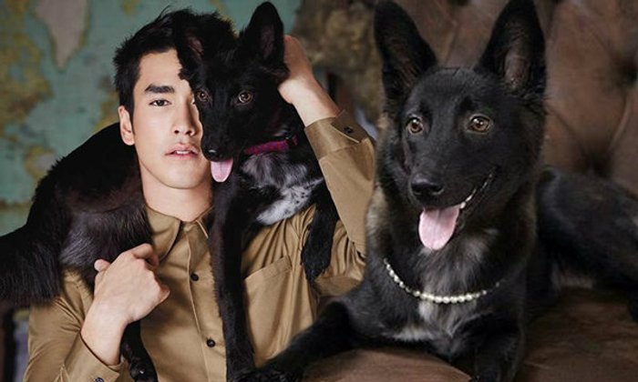 ณเดชน์ ควง เย็นเย็น หมา 3 ขาแสนรัก ถ่ายแบบนิตยสารครั้งแรก