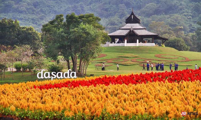 ดื่มด่ำบรรยากาศโรแมนติกของดอกไม้ @dasada gallery