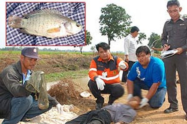 ปลาหมอติดคอ! หนุ่มใหญ่ตายอนาถ