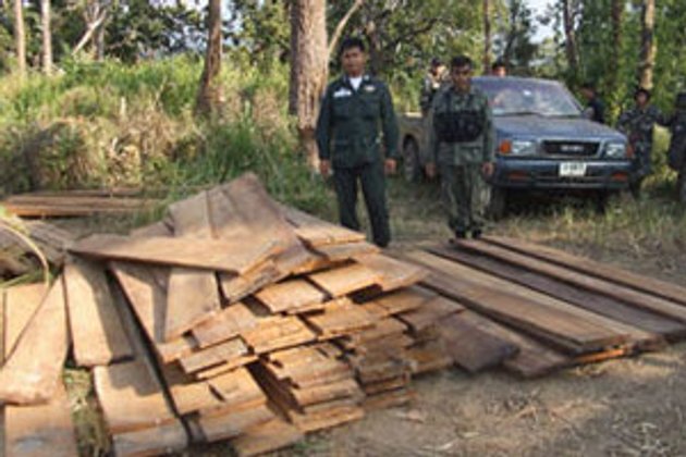 บุกยึดไม้สักแปรรูป-ไม้สักท่อนที่ถูกลักลอบตัดในป่าสงวน