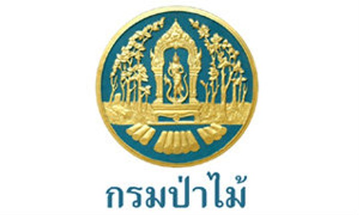 รูà¸à¸ าà¸à¸à¸µà¹à¹à¸à¸µà¹à¸¢à¸§à¸à¹à¸à¸