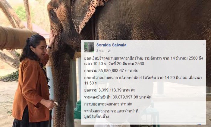 "โซไรดา" ไม่ตอบโต้กระแสโจมตี ยอดบริจาคช่วยมูลนิธิเพื่อนช้างพุ่ง 35ล้านแล้ว