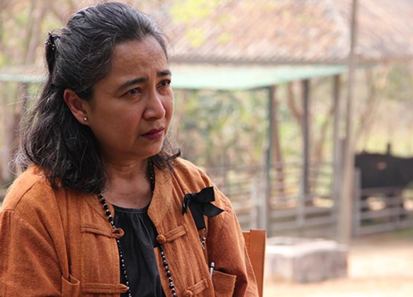โซไรดามูลนิธิเพื่อนช้างประกาศหาคนทำงานแทน
