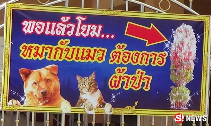 อาตมาพอแล้ว วัดขึ้นป้ายใหญ่ "ขอผ้าป่า" หลังหมาแมวล้น