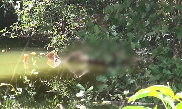 ผงะ! พบศพหญิงวัย 68 ปี ลอยอืดกลางสระน้ำ