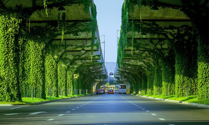 สวยงาม! ทางยกระดับวงแหวนจีน เปลี่ยนโฉมเป็นระเบียงเขียวชอุ่ม