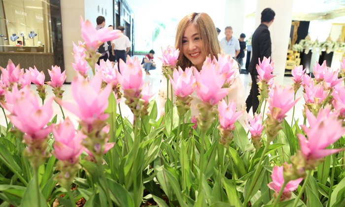 ไม่บอกไม่รู้ว่าอยู่กรุงเทพฯ 5 จุด check-in งาน “ปทุมมาราชินีป่าฝน”