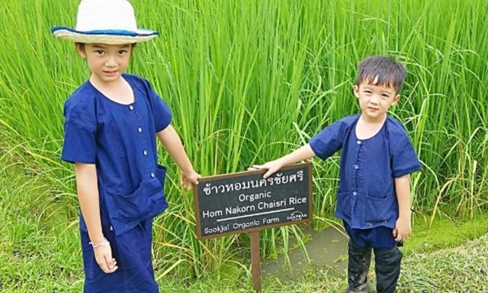 ณดา-ณดล โชว์ลีลาดำนา-ร้อยมาลัย พี่น้องเรียนรู้วิถีพอเพียง