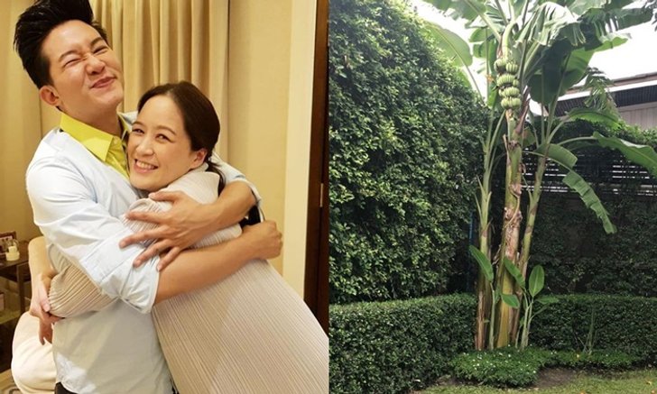 อั๋น ภูวนาท เล่าเรื่องราว "ต้นกล้วยจากงานแต่ง" ที่เคยสั่งถอนทิ้ง วันนี้กลับทำให้ยิ้มได้