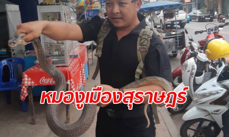 นายช่างโยธาขวัญใจชาวบ้าน เลิกงานมาช่วยจับ "งูเห่าดุ" ยาว 1.5 เมตร ด้วยมือเปล่า