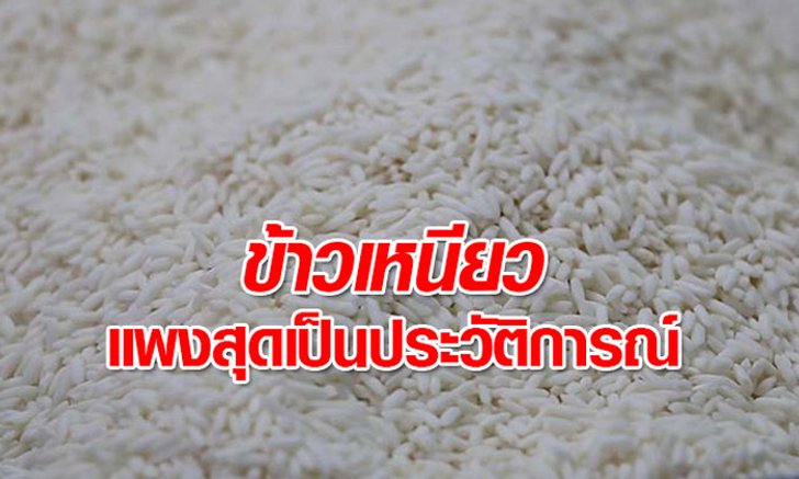 ข้าวเหนียวแพง 50 บาทต่อกิโลกรัม แซงหอมมะลิ