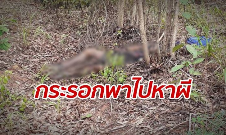 กระรอกผีตัวเท่าขา วิ่งนำทางคนงานไปเจอ "ศพปริศนา" ตายกลางป่า