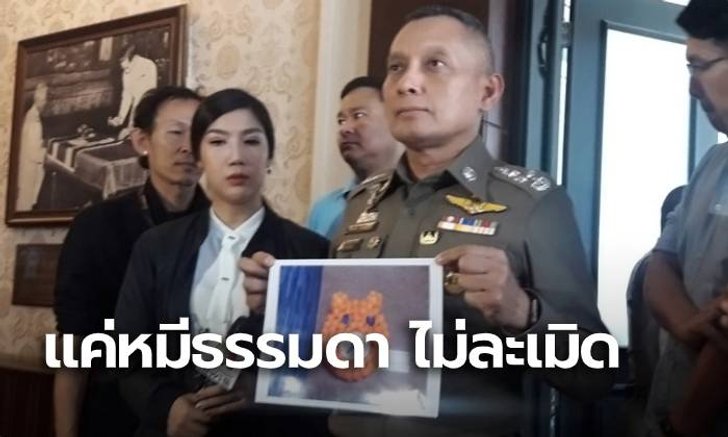 บริษัทญี่ปุ่นยัน กระทงเด็กหญิงวัย 15 ไม่ผิดลิขสิทธิ์ เพราะไม่เหมือน "ริลัคคุมะ"