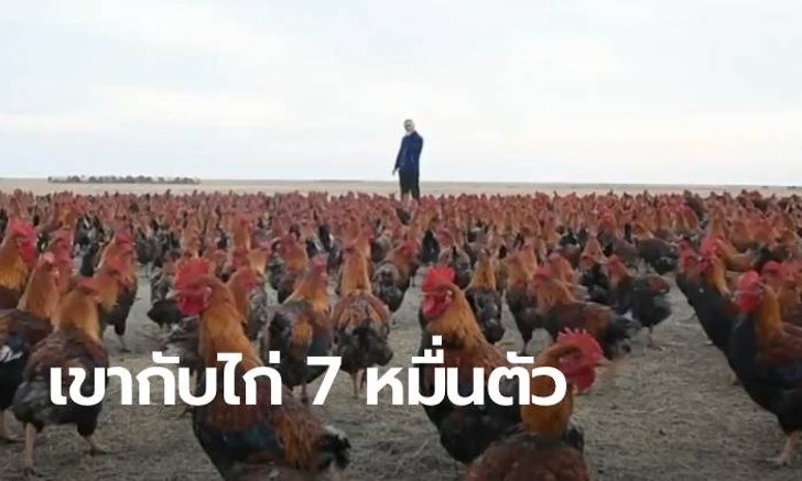 เกษตรกรจีนกลายเป็น "เน็ตไอดอล" หลังไลฟ์คลิปเลี้ยงไก่ทีเดียว 70,000 ตัว