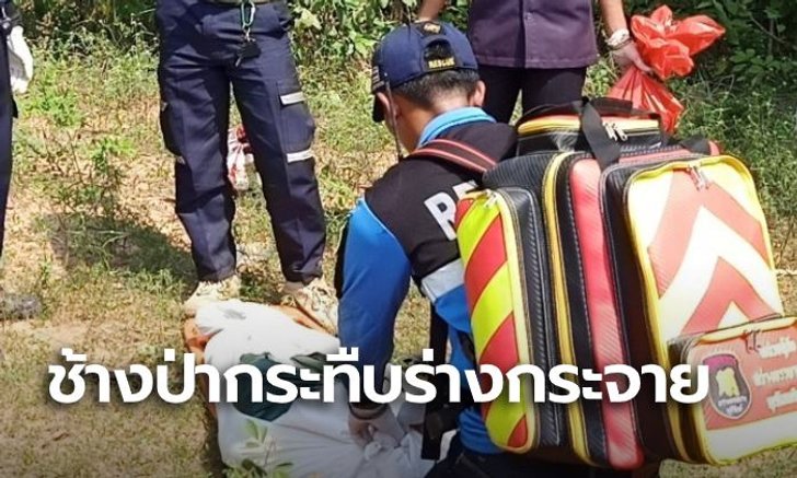 สยอง! อดีตผู้ช่วยผู้ใหญ่บ้าน นอนเฝ้านา ถูกช้างป่ากระทืบฉีกร่าง ชิ้นส่วนกระจายทั่ว