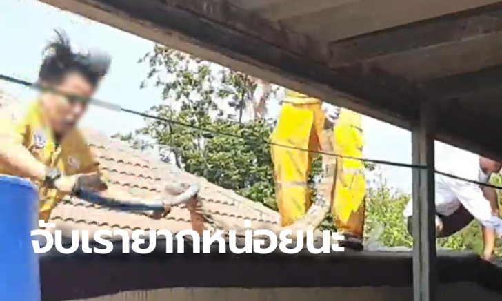 ปฏิบัติการระทึก ล้อมจับ "ตัวเงินตัวทอง" กู้ภัยพลาดท่า ตกหลังคาบ้าน 2.5 เมตร (คลิป)