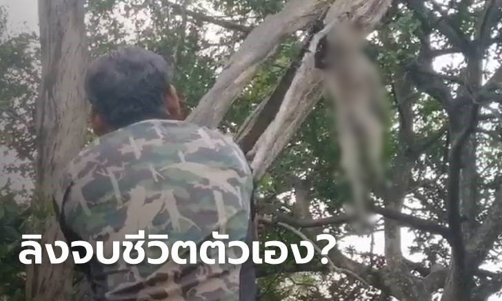 ไขปริศนา "ลิงผูกคอตาย?" ชาวบ้านช็อกเห็นภาพสะเทือนใจสุดแปลกตา