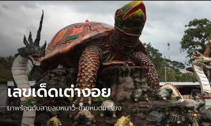 เลขเด็ด พญาเต่างอย