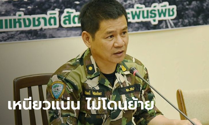 "ชัยวัฒน์" เกาะเก้าอี้แน่น ไม่โดนย้าย หลัง ทส.คลอดโผโยกย้าย ซี9 แม้ตกเป็นผู้ต้องหา