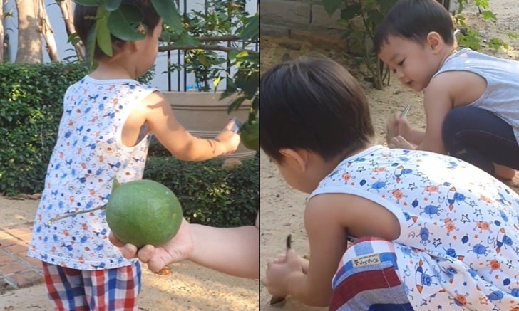 "สายฟ้า-พายุ" เก็บมะนาวลูกโตๆ ที่บ้านคุณยาย ขุดดินเล่นอยู่กับธรรมชาติ