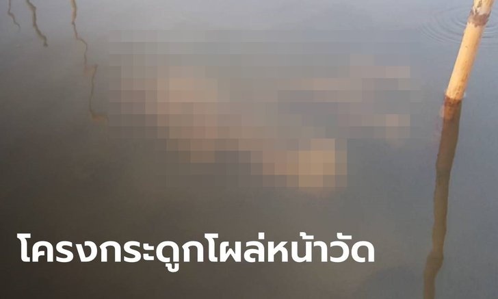 ปริศนาโครงกระดูกคนโผล่ จมอยู่ใต้น้ำเจ้าพระยา ใกล้ฝั่งวัดกู้ปากเกร็ด
