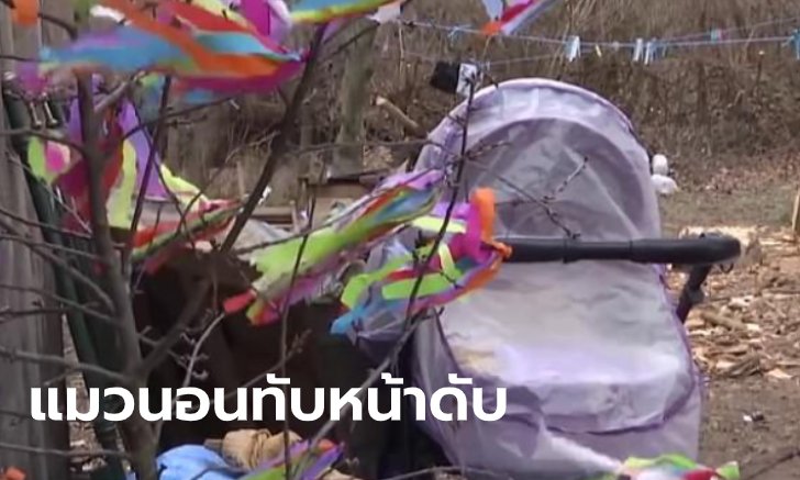 แม่ร้องไห้แทบขาดใจ ลูก 9 เดือนดับอนาถ เพราะแมวนอนบนหน้า จนขาดอากาศ