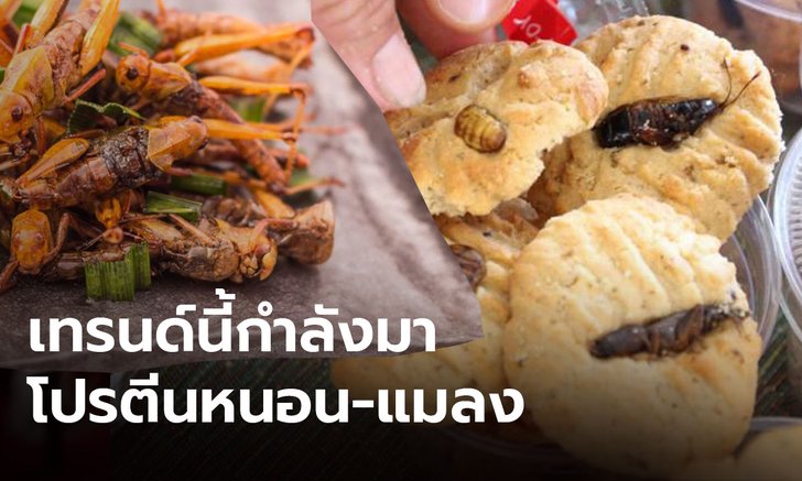 เทรนด์บริโภคโปรตีนจากหนอน แมลง และพืชกำลังมา คาดเป็นสินค้าส่งออกตัวใหม่