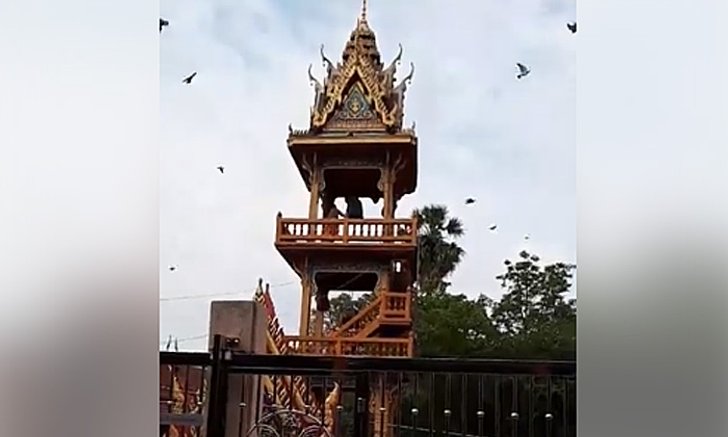 ฟังชัดๆ คลิปพระตีระฆัง "วัดไทร" ดังขนาดไหน คนอยู่คอนโดหรูถึงร้องเรียน