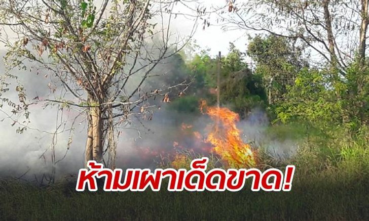 ผู้ว่าฯ โคราชห่วงปัญหา "PM 2.5" สั่ง 32 อำเภอห้ามเผาป่าเด็ดขาด-ฝ่าฝืนมีโทษหนัก