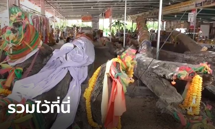 งวดใหม่ใกล้มา! คอหวยแห่ขอเลขเด็ดวัดดังอ่างทอง แหล่งรวมตะเคียนมากที่สุดในประเทศ