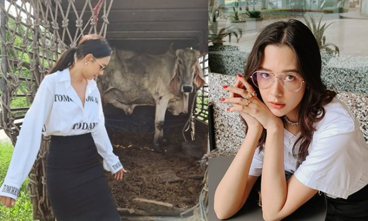 "แซมมี่" สวย จิตใจดี ทำบุญใหญ่ไถ่ชีวิตโค-กระบือ จากโรงฆ่าสัตว์