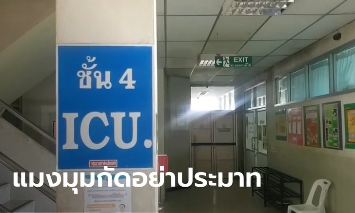 ลุ้นระทึก สาวใหญ่โดนแมงมุมกัด หัวใจหยุดเต้น 4 ครั้ง หมอปั๊มจนฟื้นคืนชีพ