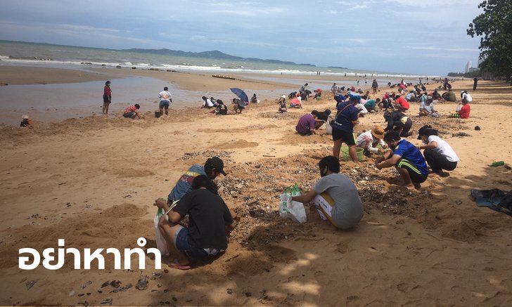 อ.ธรณ์ เบรกเอี๊ยด อย่ากินหอยเกยหาดจอมเทียน ไม่ต้องผวาสึนามิ-แผ่นดินไหว