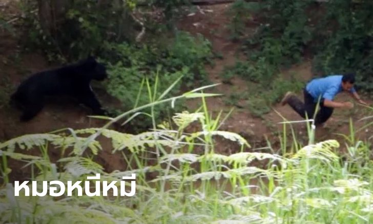 เปิดใจทีมสัตวแพทย์ หวิดถูกหมีควายขย้ำ เล่านาทีกระโดดลงน้ำหนีเอาชีวิตรอด