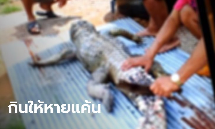 จระเข้ที่หายสาบสูญ โผล่กัดคนเจ็บสาหัส สุดท้ายถูกจับตายแล่เนื้อกินชำระแค้น!