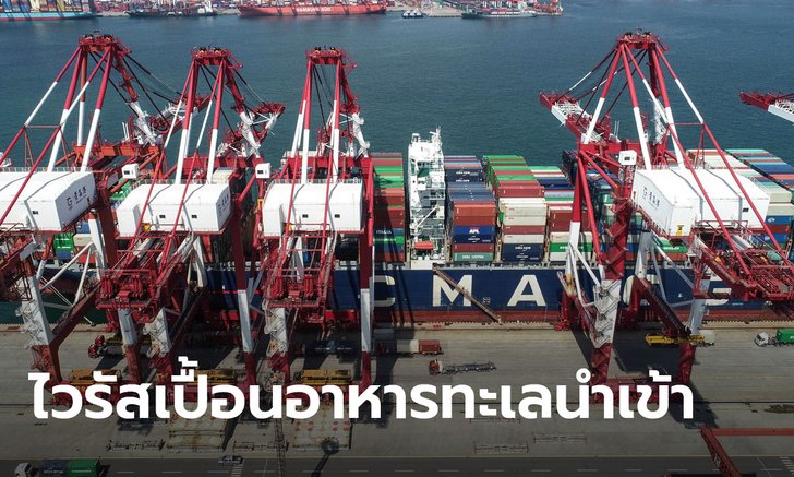 ชิงเต่าเจอไวรัสโคโรนาปนเปื้อนอาหารทะเลนำเข้า! สาเหตุ 2 พนักงานบริษัทติดเชื้อ