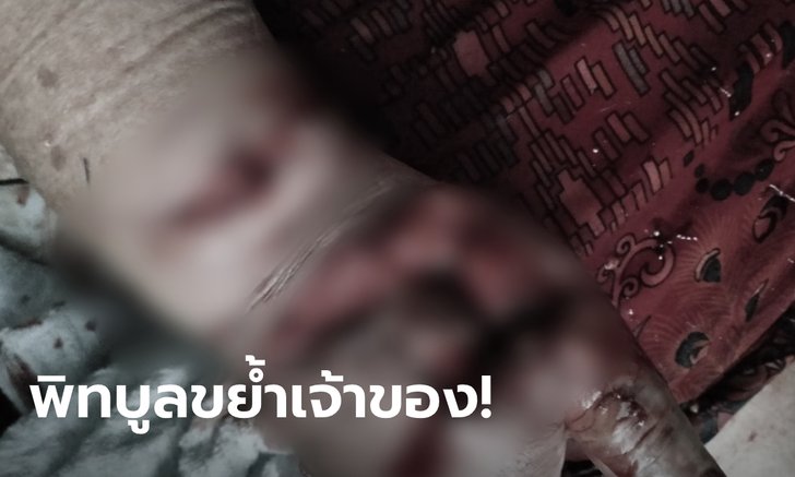 พิทบูลจะกัดลูกค้าที่เอารถมาซ่อม ป้าเจ้าของอู่วัย 70 รีบเข้าไปห้ามจนถูกขย้ำแขนเหวอะ