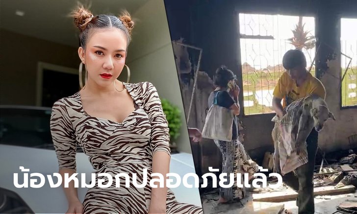 ปรบมือ "จ๊ะ อาร์สยาม" ยื่นมือช่วยเจ้าหมอก สุนัขกตัญญู ออกค่ารักษาให้ทั้งหมด