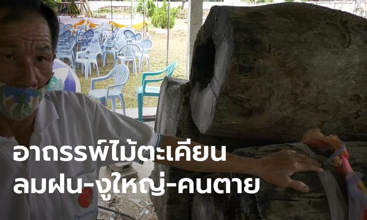 เปิดเรื่องอาถรรพ์ นายทุน-คนตัดไม้ตะเคียน ตายไล่เลี่ยกัน ต้นน้องเข้าฝันให้ขุดไปไว้กับพี่