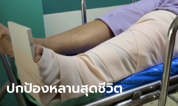 ป้าปกป้องหลานไม่ห่วงชีวิต เอาตัวบังยอมให้วัวแม่ลูกอ่อนเตะ-ขวิด เจ็บสาหัสทั้งคู่