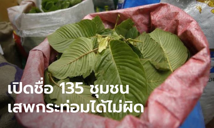 เปิดรายชื่อ 135 หมู่บ้าน-ชุมชน นำร่อง พื้นที่เสพพืชกระท่อม โดยไม่ผิดกฎหมาย