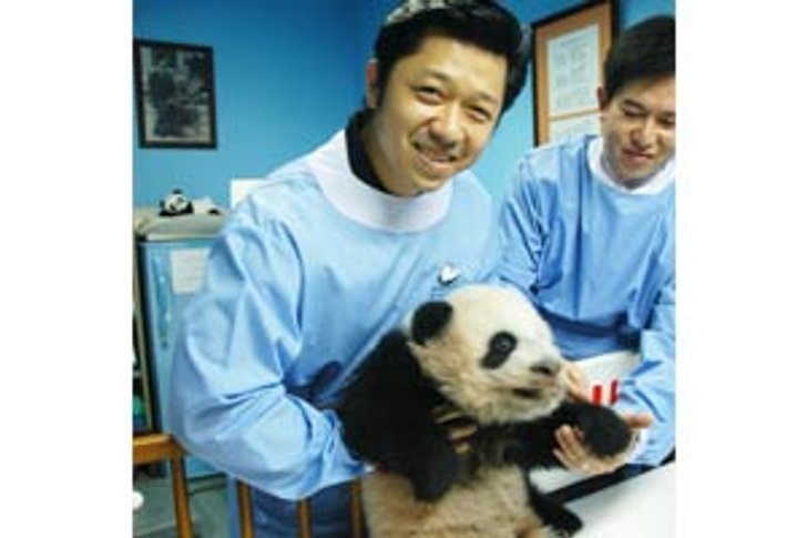 องค์การสวนสัตว์ จับมือ ทรู ดันกิจกรรมครอบครัวหมีแพนด้า