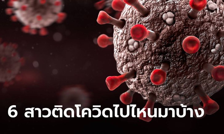 เปิดไทม์ไลน์ 6 สาวเวิร์กแอนด์ทราเวลท่าขี้เหล็ก ข้ามฝั่งมาตรวจเจอโควิด-19
