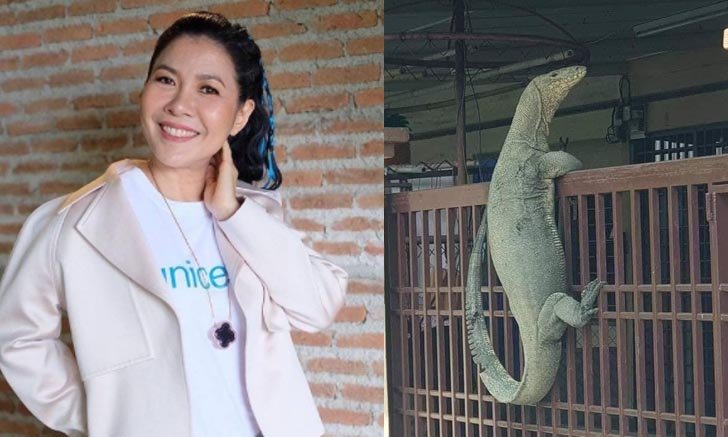 "ตุ๊ยตุ่ย" โพสต์ภาพแขกมาเยือน ตัวเงินตัวทองปีนรั้วบ้าน คอหวยแห่ส่องบ้านเลขที่
