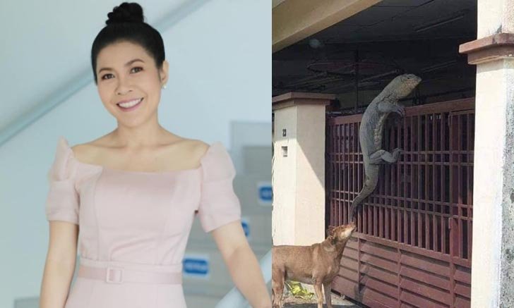 "ตุ๊ยตุ่ย" เฉลยแล้ว ภาพตัวเงินตัวทองปีนรั้วบ้านที่ทำคอหวยแห่ส่องเลขเด็ดรัวๆ